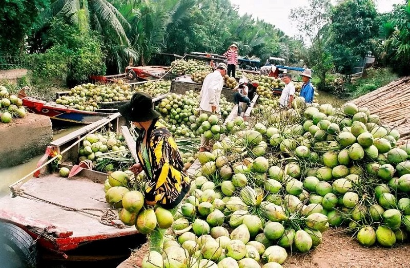 Lô hàng dừa tươi đầu tiên của Việt Nam xuất khẩu sang Trung Quốc qua cửa khẩu đường bộ