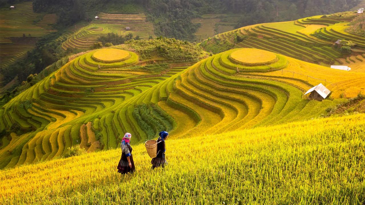 Nông nghiệp sinh thái cần phù hợp với từng vùng miền