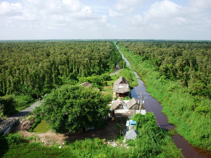 Kinh tế sẽ 'xanh' hơn nếu thị trường tín chỉ carbon có khung pháp lý rõ ràng