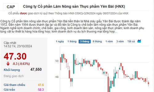 Cổ phiếu của doanh nghiệp vàng mã duy nhất trên sàn ‘trượt dài’ theo kết quả kinh doanh