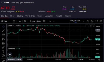 Cổ phiếu VHM ‘đỏ sàn’ trong ngày đầu tiên diễn ra ‘thương vụ lịch sử’