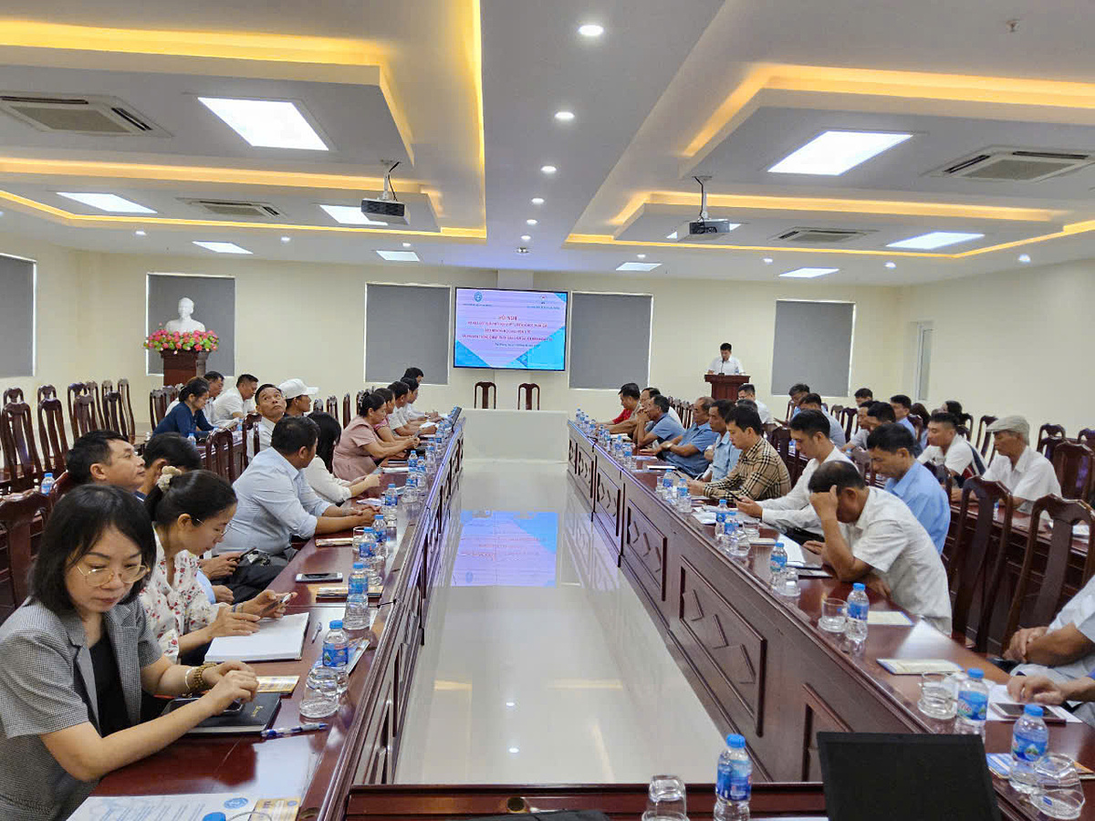 BHXH Hải Phòng tăng cường công tác hướng dẫn, kiểm tra các đơn vị trực thuộc