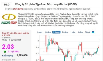 Cổ phiếu DLG tăng trần ngay khi Đức Long Gia Lai báo lãi lớn nhờ ‘bán con’