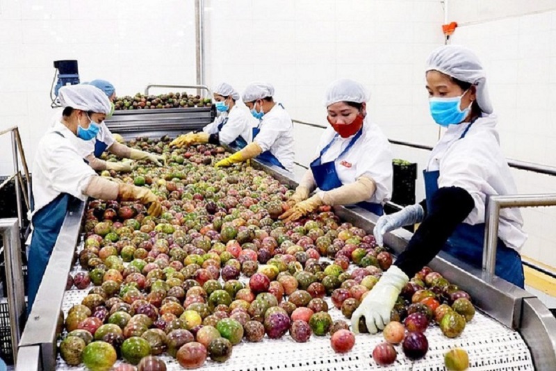 Công nhận 359 sản phẩm đạt Thương hiệu quốc gia Việt Nam năm 2024