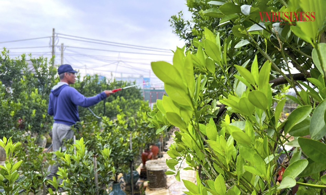 <p>
Theo báo cáo của UBND quận Tây Hồ, do ảnh hưởng của bão số 3, 152 ha trồng đào, quất, hoa màu tại khu vực bãi sông Hồng mất trắng, thiệt hại ước tính khoảng 90 tỷ đồng.</p>