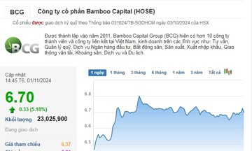 Cổ phiếu của Bamboo Capital chạm trần, thanh khoản đứng đầu thị trường