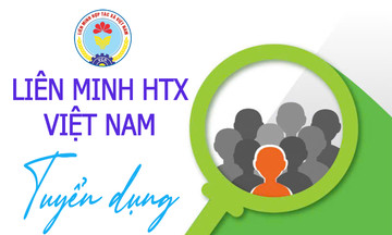 Liên minh Hợp tác xã Việt Nam tuyển dụng người làm việc vào biên chế năm 2024