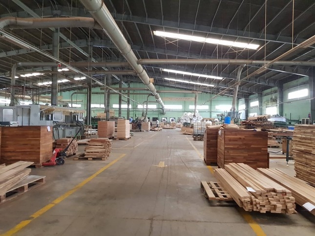 Tranh thủ cổ phiếu TTF giảm gần 39%, CEO Gỗ Trường Thành 'gom hàng'