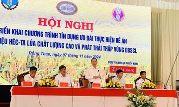 Đẩy mạnh tín dụng ưu đãi để tăng tốc triển khai Đề án 1 triệu ha lúa chất lượng cao và phát thải thấp