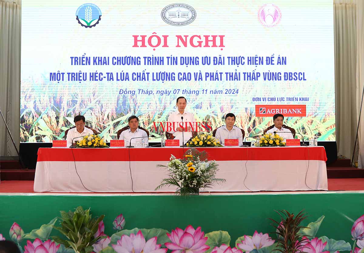 Cú hích tài chính cho lúa gạo, mở cơ hội để sản xuất bền vững