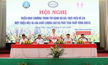 Cú hích tài chính cho lúa gạo, mở cơ hội để sản xuất bền vững