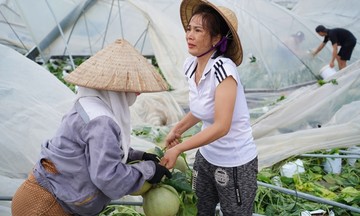 Để đi xa, nông nghiệp cần đi cùng với bảo hiểm