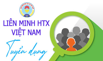 Gia hạn nhận hồ sơ tuyển dụng biên chế năm 2024 của Liên minh HTX Việt Nam