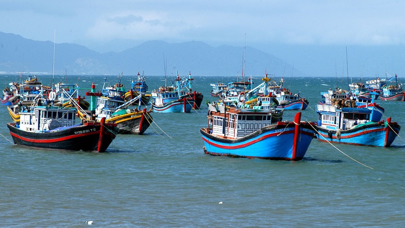 Việt Nam quyết tâm gỡ 'thẻ vàng' IUU của EC