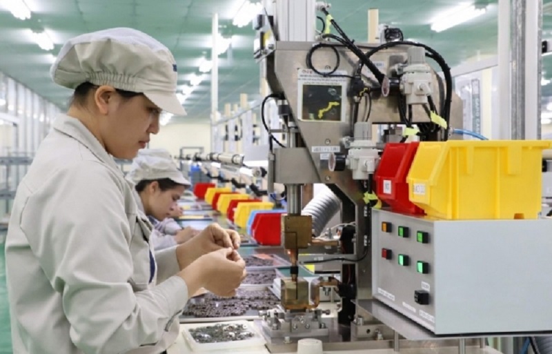 Xuất khẩu chính ngạch sang châu Âu: Hiểu thị trường để 'làm chủ cuộc chơi'