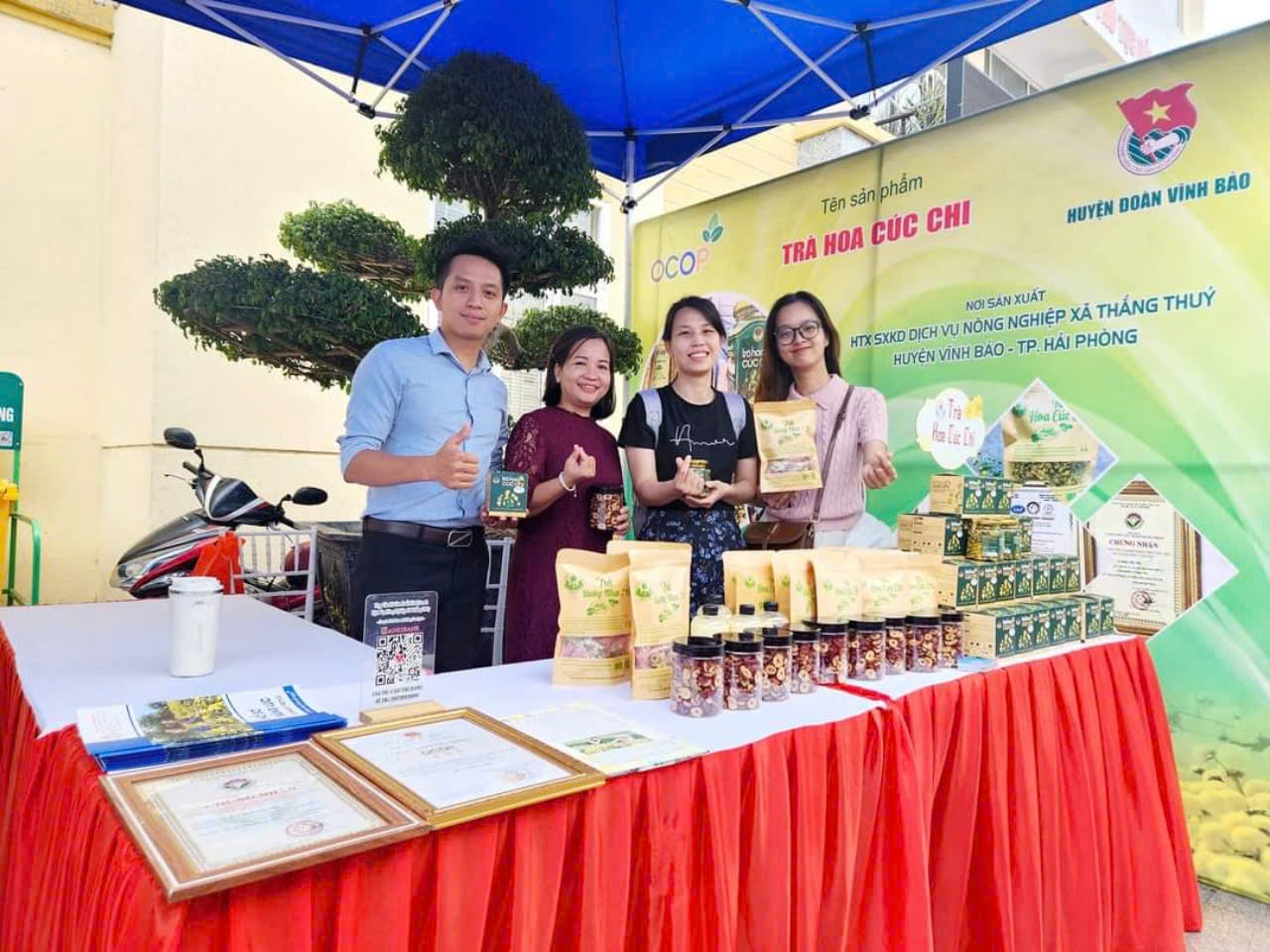 HTX xây dựng thương hiệu 'vàng mười' từ hoa cúc chi
