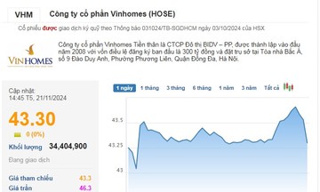 Cổ phiếu VHM giao dịch đứng đầu trong phiên cuối cùng thực hiện thương vụ lịch sử