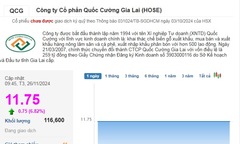 Cổ phiếu của Quốc Cường Gia Lai &#039;phấn khởi&#039; tăng trần