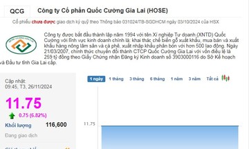 Cổ phiếu của Quốc Cường Gia Lai &#039;phấn khởi&#039; tăng trần