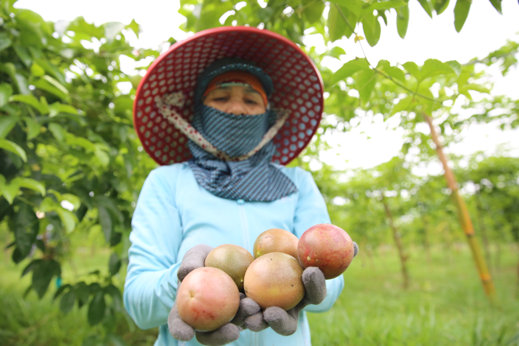 HTX thích ứng linh hoạt trước thay đổi của thị trường nhập khẩu