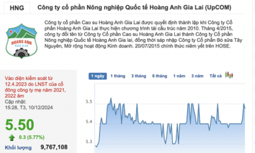 Bộ đôi HAG – HNG liên tục được ‘gom’ mạnh