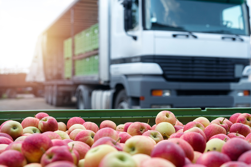 Giải bài toán chi phí logistics để rộng cửa tiêu thụ nông sản