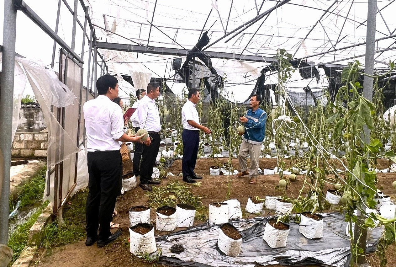 Khoảng trống bảo hiểm nông nghiệp
