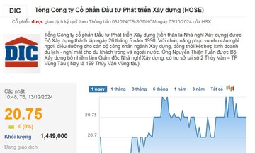 Cổ phiếu DIG đang giao dịch ở vùng giá cao hơn gần 40% so với mức giá DIC Corp dự kiến chào bán