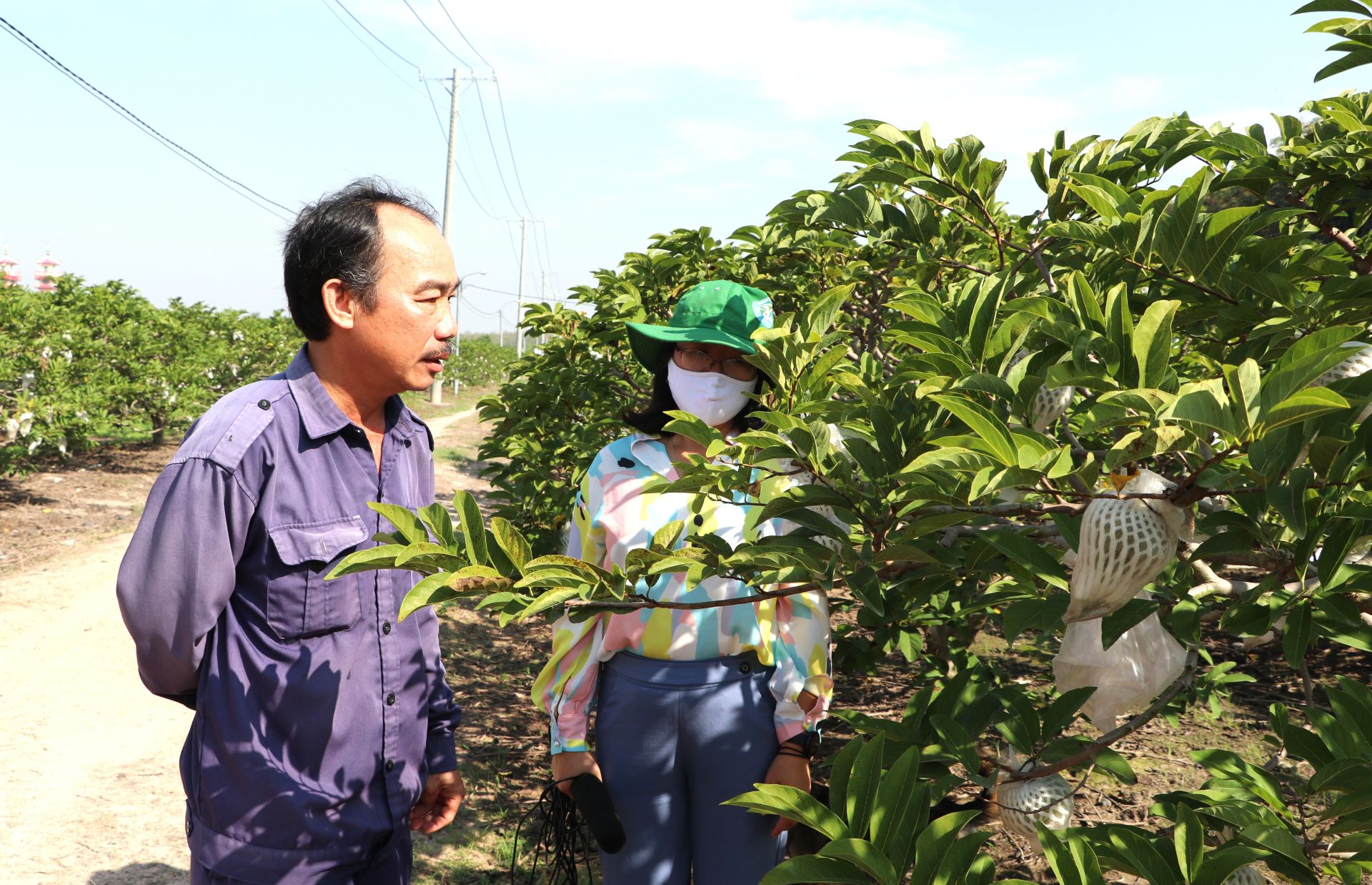 Tăng khả năng cạnh tranh cho HTX