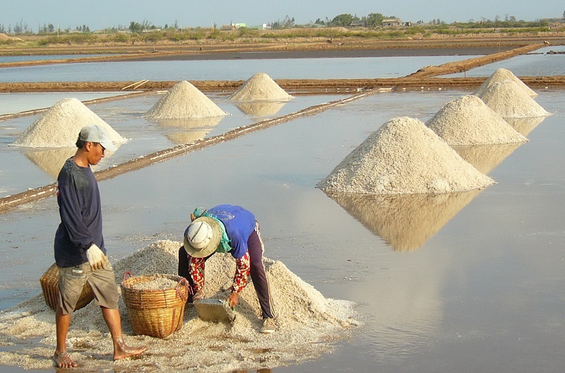 Festival về nghề muối đầu tiên sắp được tổ chức tại Việt Nam