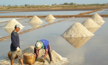 Festival về nghề muối đầu tiên sắp được tổ chức tại Việt Nam