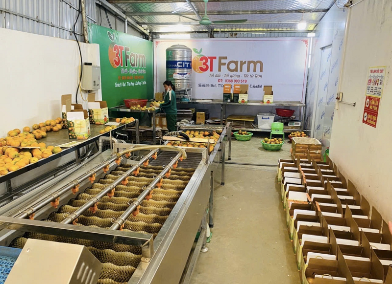 Thanh toán kéo dài khiến HTX khó vào được siêu thị
