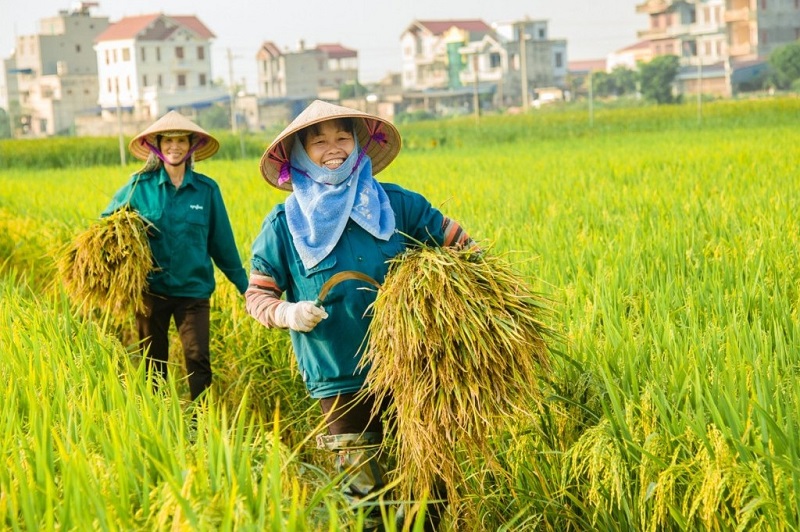 Liên kết '4 nhà' để nông nghiệp thực sự cất cánh