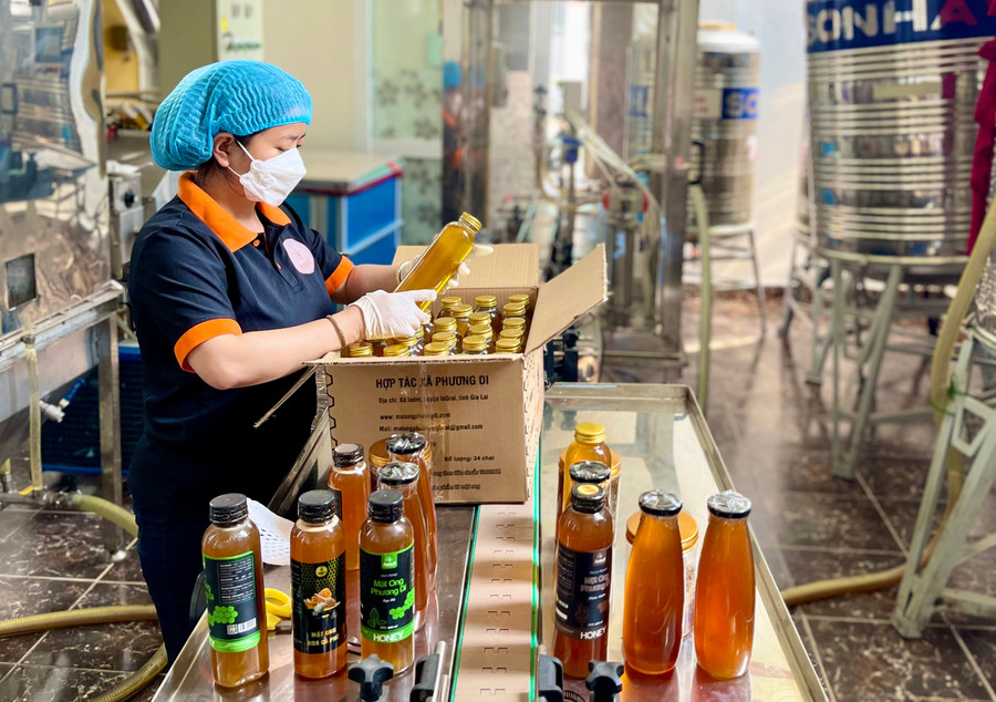 Chuẩn hóa chất lượng để rộng đường xuất khẩu mật ong