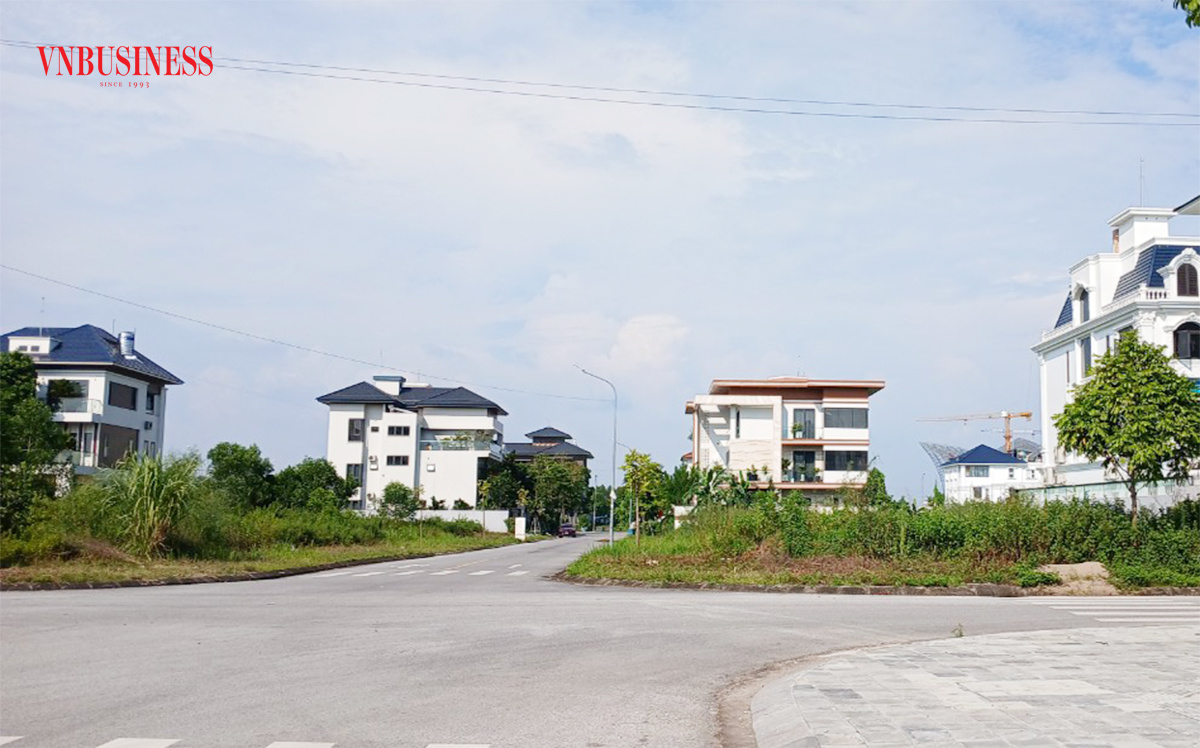 Giới đầu cơ tranh thủ 'thời điểm vàng' để gom đất, chuyên gia cảnh báo nóng