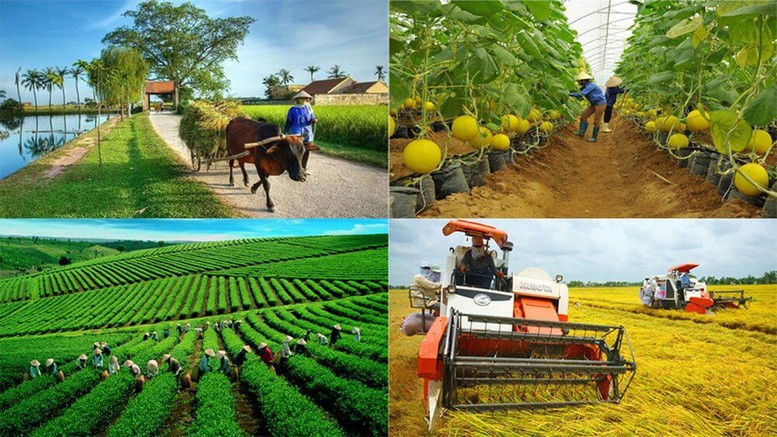 Chính sách ưu đãi thuế hỗ trợ tối đa hoạt động của hợp tác xã