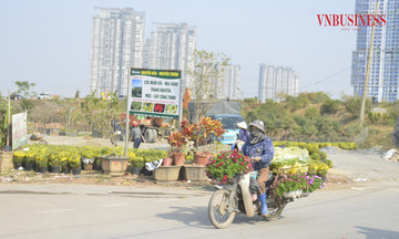 Làng hoa Xuân Quan rộn ràng đón Tết