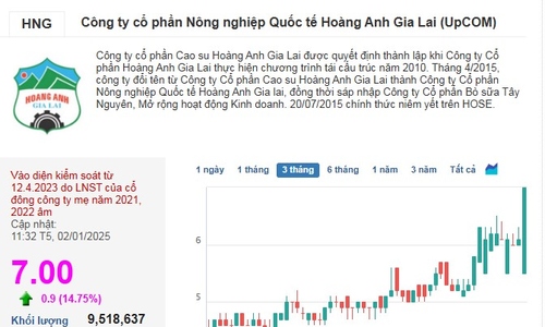 Tiền ào ào tới, cổ phiếu HNG ‘tím ngắt’ ngay trong phiên đầu tiên năm 2025