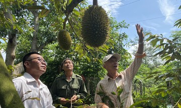 Tạo đà bứt phá cho xuất khẩu nông sản