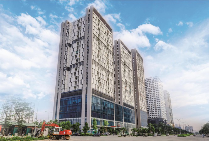 Vợ Chủ tịch Taseco Land nâng sở hữu vốn tại doanh nghiệp lên 4,62%
