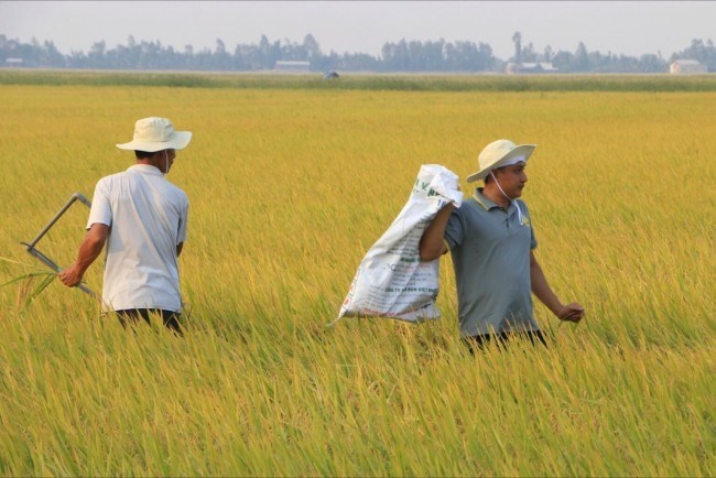 Gỡ nút thắt trong sản xuất giảm phát thải