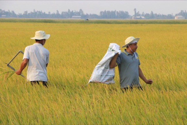 Gỡ 'nút thắt' trong sản xuất giảm phát thải