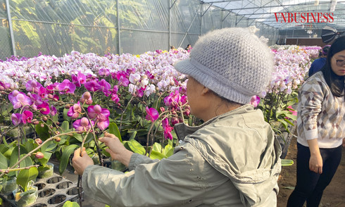 789bet hoangsa.net