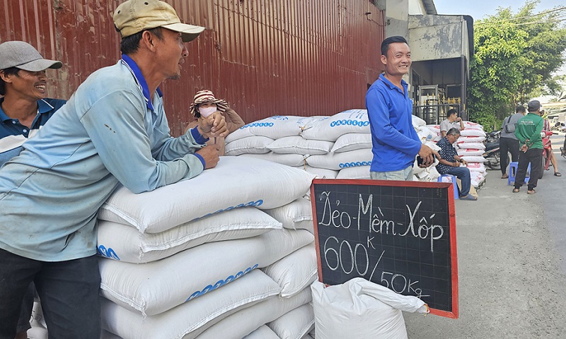 Gạo 'tuột giá', thương nhân bán tháo: Cấp thiết xây dựng chuỗi giá trị bền vững cho hạt gạo