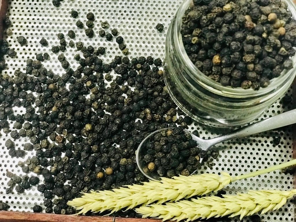 Cận Tết, giá tiêu giữ mức 146.000 đồng/kg