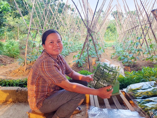 Gần Tết, HTX 'đau đầu' vì ma trận hàng giả, hàng nhái