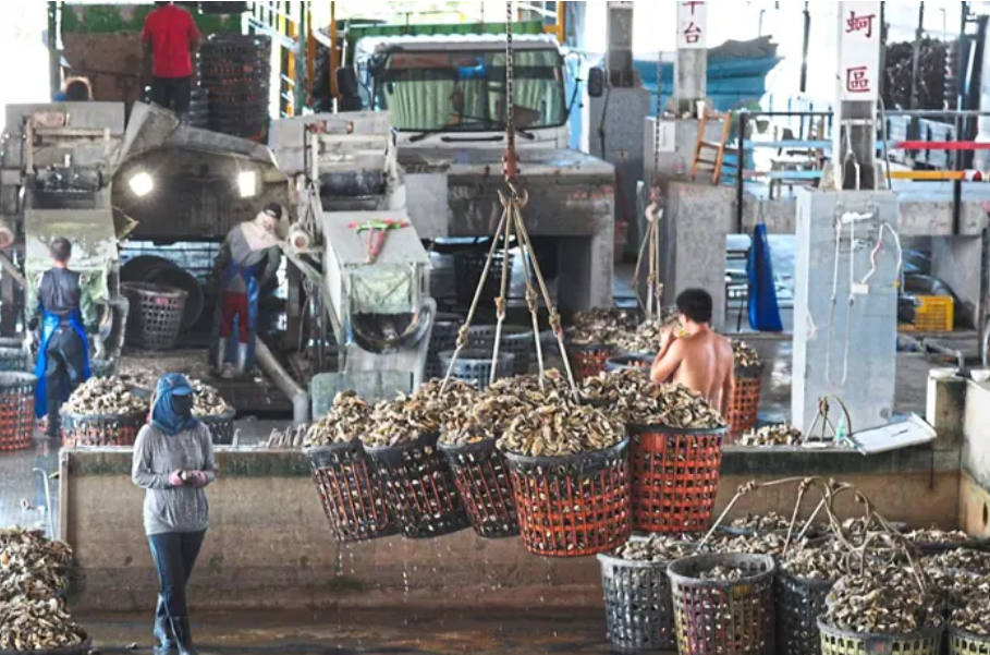 Doanh nghiệp đặt niềm tin vào hướng đi mới, tạo nên sức bật mới