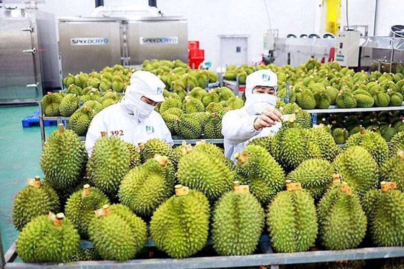 Dự báo kim ngạch xuất khẩu rau quả tháng 2 chỉ đạt khoảng 350 triệu USD