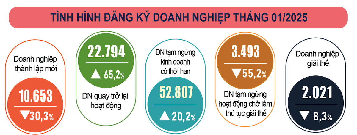 Tổng cục Thống kê lý giải nguyên nhân số doanh nghiệp rút khỏi thị trường gia tăng