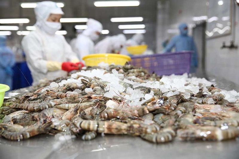 Xuất khẩu thủy sản Việt Nam tháng 1/2025 khởi sắc, ngành tôm tiếp tục dẫn đầu
